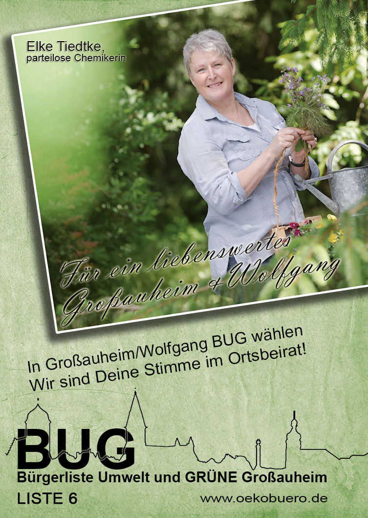 BUG Wahlflyer 2016